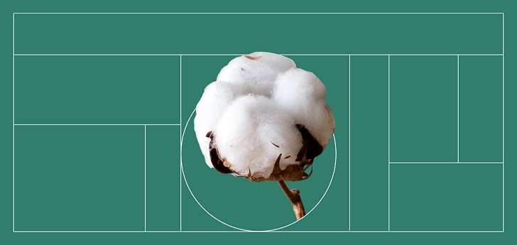 Beyond Organic: Brands That Use Traceable Cotton