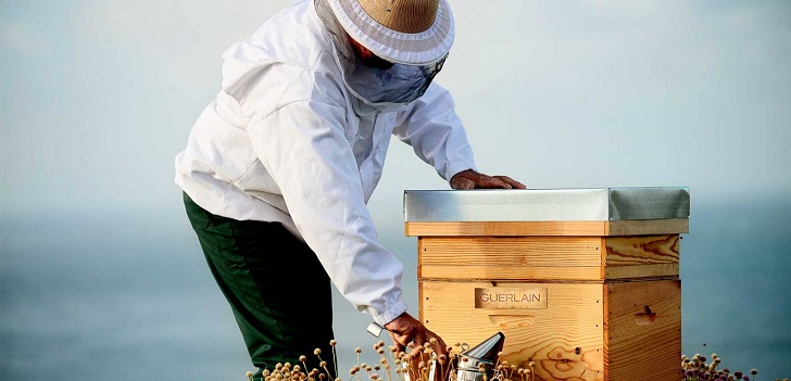 Guerlain and Unesco save the bees