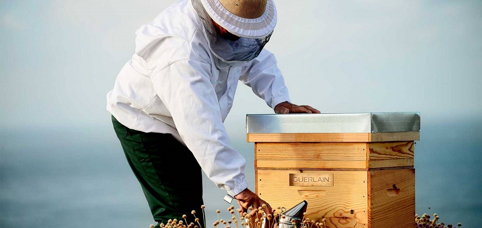 Guerlain and Unesco save the bees